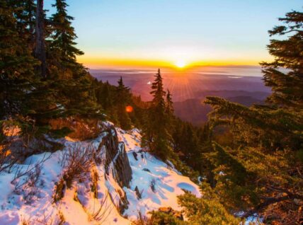 50 Project Management Quotes to Inspire You Before Your Next Project