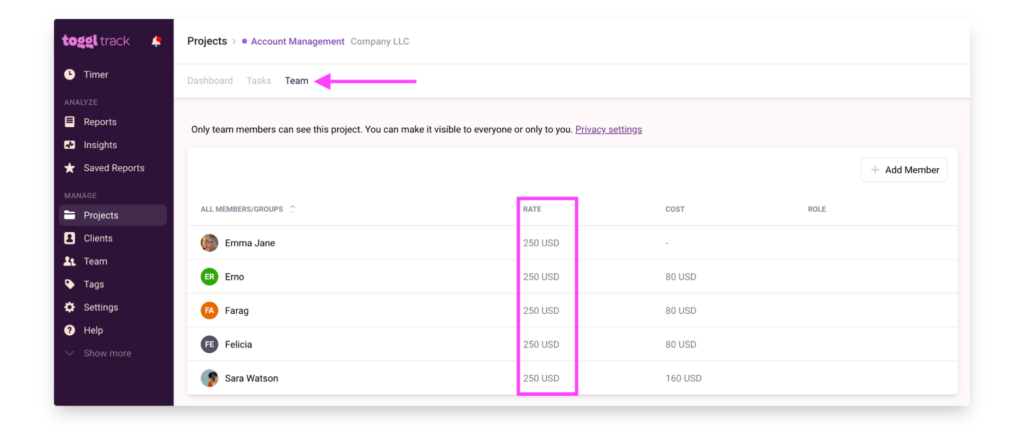Setting billing rates on a team-member level in Toggl Track